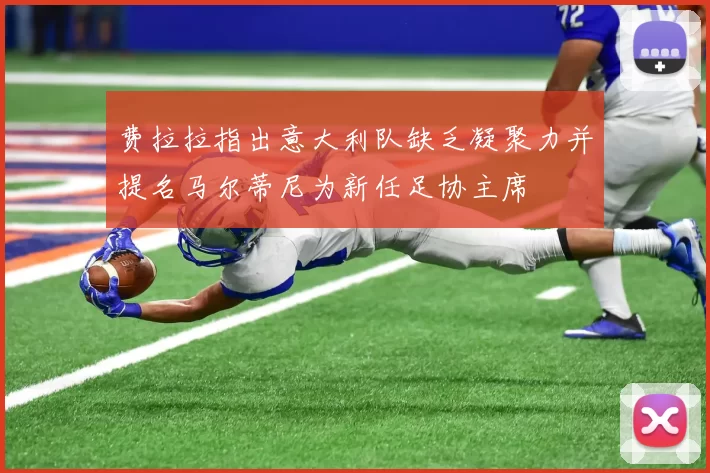 费拉拉指出意大利队缺乏凝聚力并提名马尔蒂尼为新任足协主席