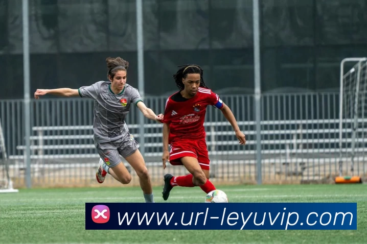 乐鱼体育平台生态图