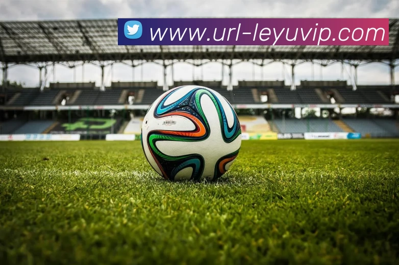 乐鱼体育全站App